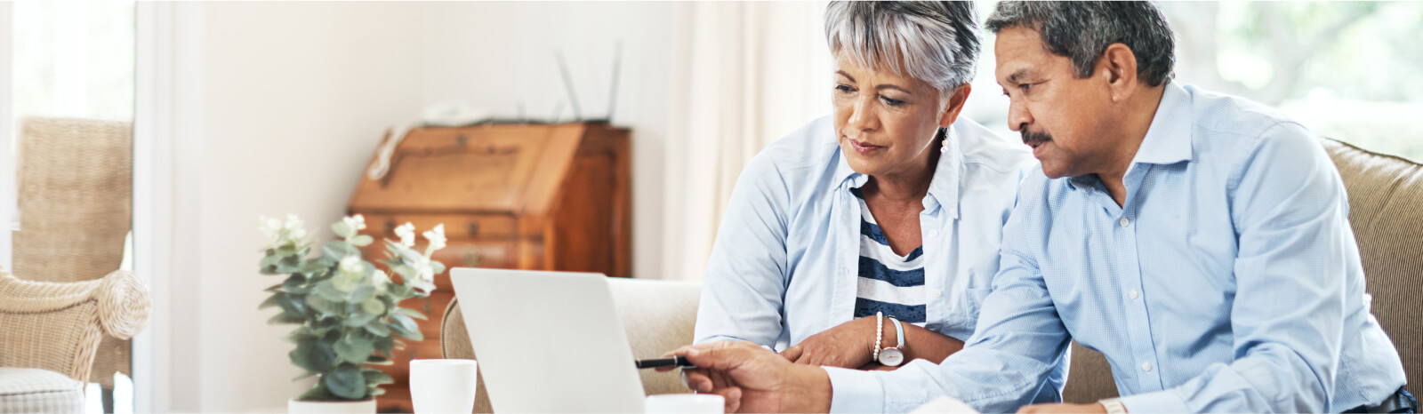 Mature couple on computer